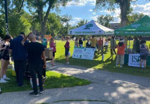 How to Engage Your Local Community in Urban Tree Planning