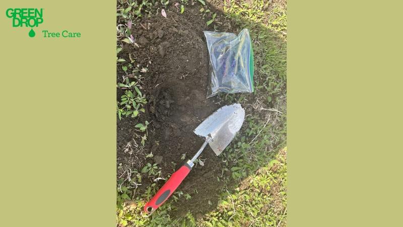 Gathering Drumheller soil for testing purposes