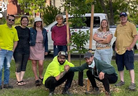 Why Choose Green Drop for Your Tree Care Needs