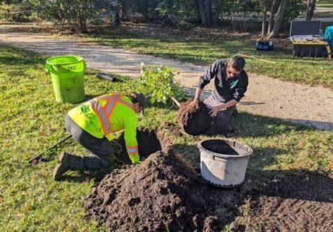 It’s National Tree Day! Here Are 10 Ways You Can Make a Difference