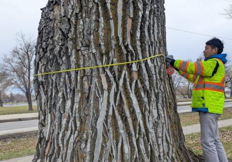 Green Municipal Fund Grant