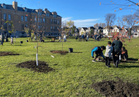 How Residents Shape Urban Forest Success