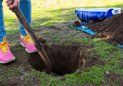 What Homeowners Need to Know Before Digging