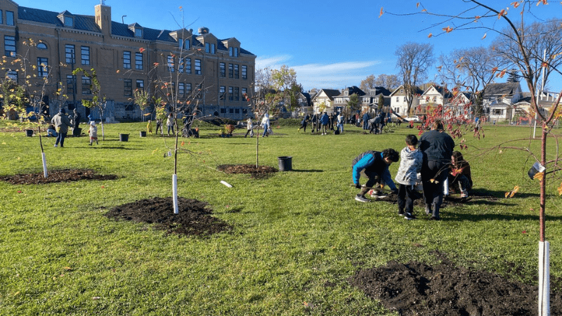How Green Drop Supports Community Planting Projects