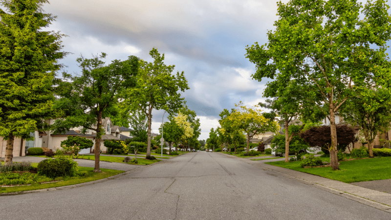 What Prairie Cities are Doing to Expand Tree Canopy Equity