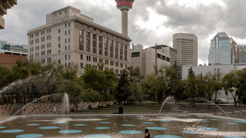 Calgary Urban Forest - biodiverse tree species 