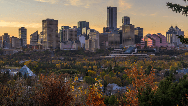 Edmonton river valley - urban forestry 