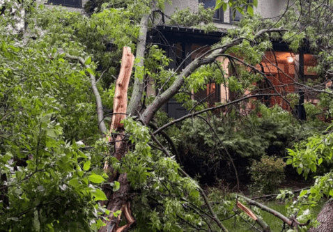 How to Prevent Storm Damage