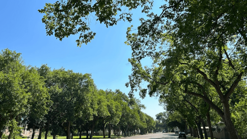 Weyburn Saskatchewan Street View